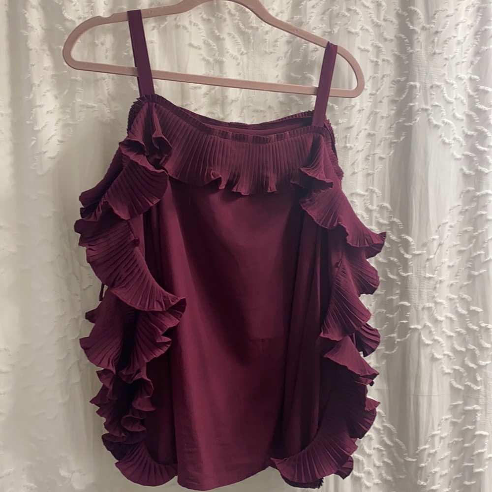 Plum ruffles sleeve top